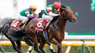 【アイビスSD・馬体重】モントライゼは500kg(+8)、オールアットワンスは448kg(+8)