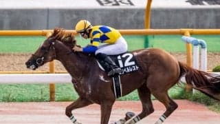 【JRA・WIN5】今週のWIN5は的中134票、配当366万8810円