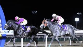 【クラスターC】ヒロシゲゴールド、リュウノユキナ、マテラスカイなどJRA選定馬が発表