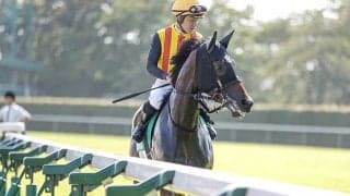 【アイビスSD】売上は74億6779万9800円で昨年からおよそ4千万円の減少