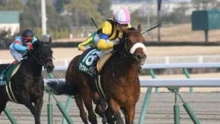 【クイーンS見どころ】マジックキャッスルが重賞2勝目を狙う