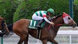 【ブリーダーズGC】メモリーコウ、マルシュロレーヌ、リネンファッションなどJRA所属の出走予定馬が発表