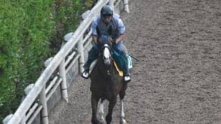 サウンドキアラの半妹 サウンドクレアがデビュー/関西馬メイクデビュー情報