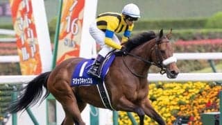 【クイーンS想定騎手】マジックキャッスルは戸崎圭太騎手、テルツェットはC.ルメール騎手