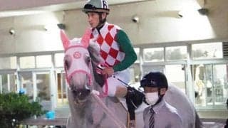 南関東で最年長！ 10歳の芦毛馬・リッカルドが放牧休養を経て1年7か月振りの勝利