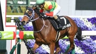 【クイーンS予想】人気の落ちる今回が狙い目のリベンジ馬 函館開催で難しいレースをAIが予想/JRA重賞レース展望