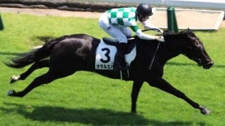 【新馬/新潟5R】リオンディーズ産駒 オタルエバーがデビューV