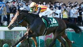 【アイビスSD】オールアットワンスが重賞初制覇