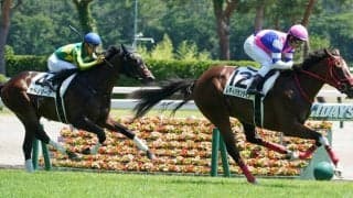 【新馬/新潟5R】サトノアラジン産駒 レディバランタインがデビューV