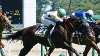 【新馬/新潟6R】3連単689万超の大波乱！10人気ファンデルがデビューV