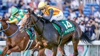 父マクフィも直線コースで勝利　適性を感じさせたオールアットワンスの走り