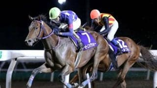 【門別競馬情報】将来の大活躍が期待される逸材ぞろい！距離未経験馬も多く、波乱の可能性も「第15回ブリーダーズゴールドジュニアカップH1」/地方競馬情報