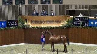 【セレクションセール】NHKマイル4着 リッケンバッカー半弟が3300万円