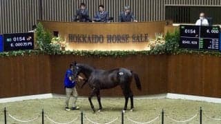 【セレクションセール】エピファネイア産駒が6000万円