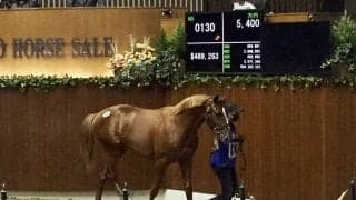 【セレクションセール】スマッシャー半弟が5400万円