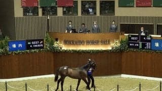 【セレクションセール】シルバーステート産駒が4100万円