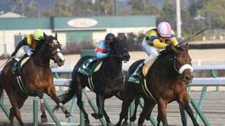 【クイーンS予想オッズ】マジックキャッスルが単勝1.8倍で予想1番人気に