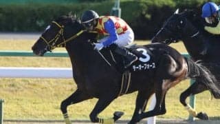 【門別競馬情報】門別初勝利なるかテーオーフォース！1700mは連対率100％バンカブルスターの巻き返しにも注目「サトノダイヤモンド・プレミアム」/地方競馬情報