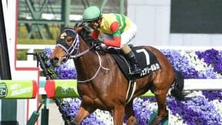 【AI予想】本質的には荒れやすいレース？ クイーンSで優勢な馬の特徴とは