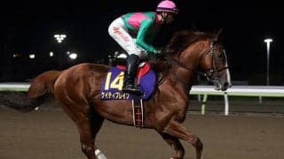 【エルムS想定】復帰戦迎えるケイティブレイブ・ヴェンジェンス、かしわ記念2着ソリストサンダーなど