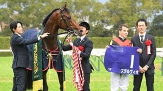 木村厩舎から岩戸厩舎への転厩馬一覧　ステルヴィオ、オーソリティなど67頭