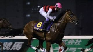 【ブリーダーズゴールドC】武豊騎手はリネンファッションに騎乗