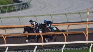 【JRA新馬戦】好素材ルージュスティリアなどがデビュー