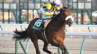 【クイーンS】マジックキャッスル GIのタイトルに向けて落とせぬ一戦