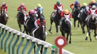 1レースに大挙10頭出し　日曜新潟2Rで夏恒例の“ミルファーム”祭り