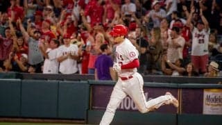 【MLB】エンゼルスの勝利に狂喜乱舞する少女が「とってもキュート」　大谷も37号で貢献