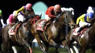 【川崎・スパーキングサマーチャレンジ結果】山崎誠士騎手騎乗の3番人気マイネルナイペスが勝利