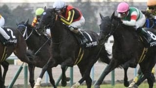 【新潟ジャンプS枠順確定】フォイヤーヴェルクは大外8枠13番、ホッコーメヴィウスは4枠5番