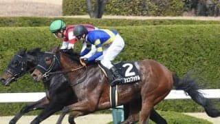 【ブリーダーズGC】藤岡佑介騎手はアッシェンプッテルに騎乗　道営所属馬4頭が回避