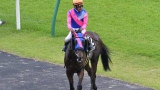 【レパードS想定】前走7馬身差Vメイショウムラクモ、3連勝中ルコルセールなど22頭
