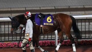 【盛岡・せきれい賞】ロードクエストは5枠6番、マツリダスティールは7枠9番