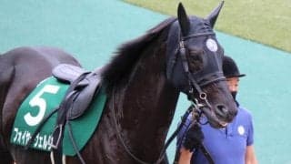 【本日の注目ポイント】重賞は新潟JS　田辺騎手らは区切りの勝利までわずか