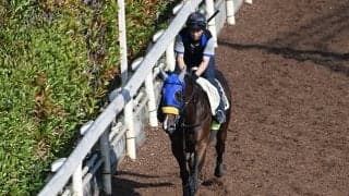 【新潟ジャンプS予想】前走の好内容を再現できれば重賞初制覇のチャンス大