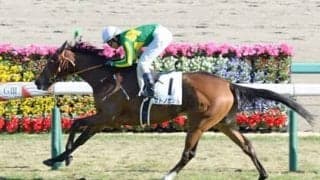 クイーンＳで勝敗のカギ握る函館の馬場。穴党記者が激走を見抜いた４頭