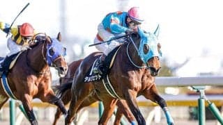 【クイーンS】テルツェットはC.ルメール騎手との初コンビ　秋の飛躍に向けて重賞2勝目を狙う