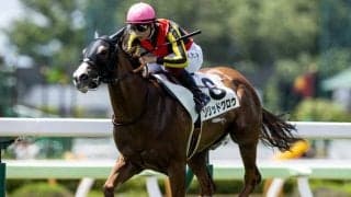 【函館5R新馬戦結果】ソリッドグロウが7馬身差で圧勝