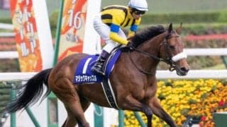 【クイーンS前日オッズ】マジックキャッスルが2.6倍で1番人気