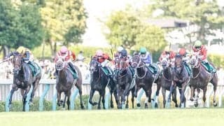 【日曜新潟2R】ミルファーム所有馬10頭出し　2・3・5・7枠が染め分け帽に