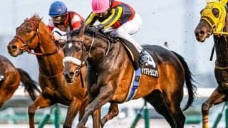 【クイーンS予想】11戦中10戦で3着内の人気馬を消去！ココだから期待値が低い種牡馬とは？/JRAレース展望