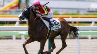 【新馬/函館5R】モントライゼ全妹 ソリットグロウがデビューV