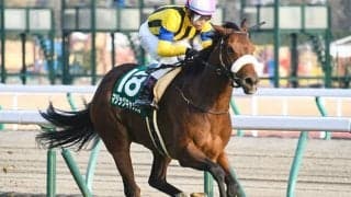 【クイーンS予想】ディープ産駒でも函館洋芝を克服？ AIが示した注目馬は意外にも…/JRA重賞レース展望