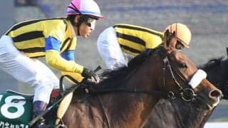 【クイーンS予想】実績と底力で一枚上手のレース巧者が真価を発揮