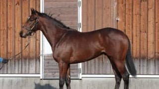 陣営が高評価。ダンテスヴューは「兄よりディープっぽい。キレる脚を使えそう」