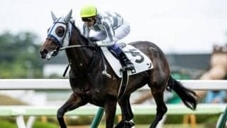 【函館5R新馬戦結果】シルバーステート産駒ロンが逃げ切って完勝