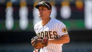 【MLB】「この子は何も悪くない…」　愛するチームの失点招いた少年の“不運な妨害”に同情