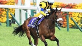 【クイーンS・馬体重】マジックキャッスルは434kg(0)、ドナアトラエンテは462kg(+4)